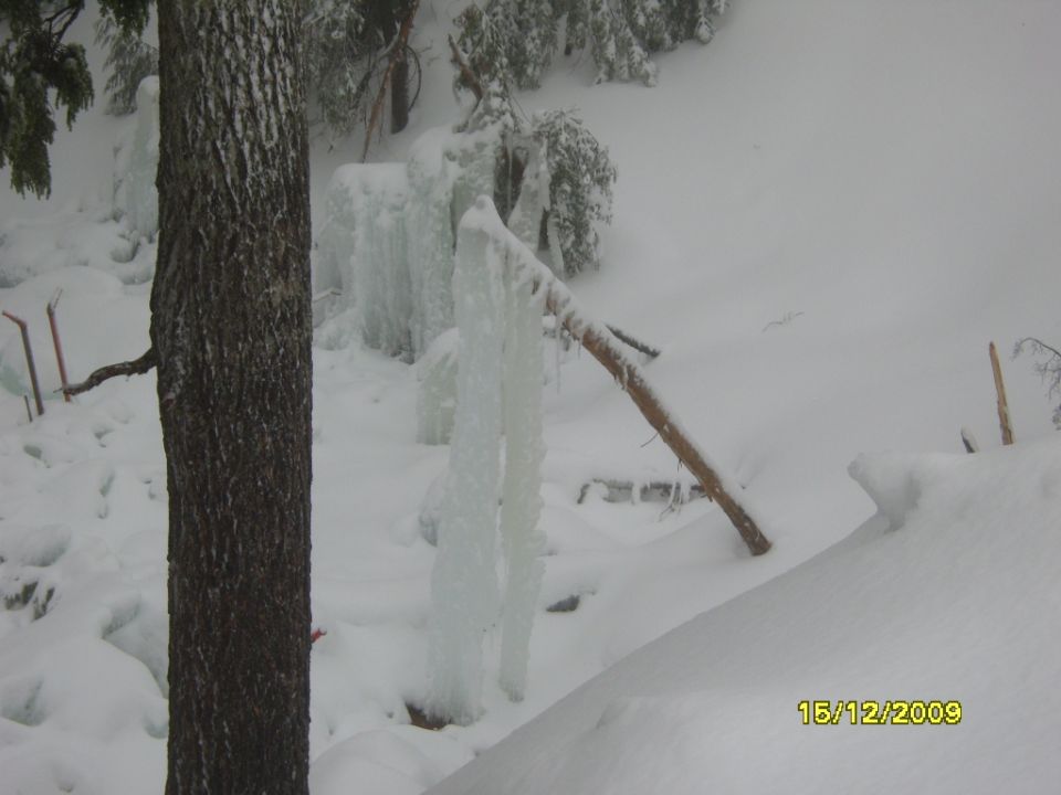 Snowy scene with icicles hanging from branches and a tree trunk in the foreground