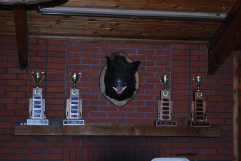 1979 Ford F-150 - A mounted boar head and four trophies are displayed on a brick wall above a wooden mantelpiece.