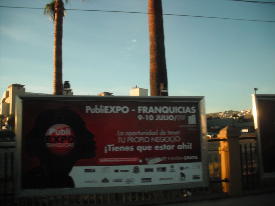 Photo of a roadside billboard advertising PubliEXPO Franquicias under palm trees