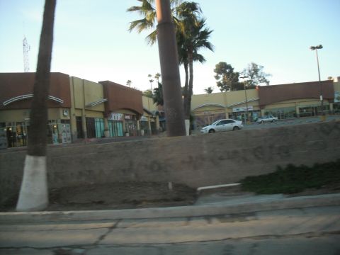 1991 Ford Bronco - Commercial buildings line a street with palm trees and parked cars visible.