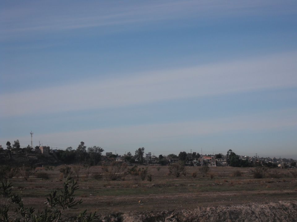 Distant view of buildings and trees on a hill under a pale blue sky