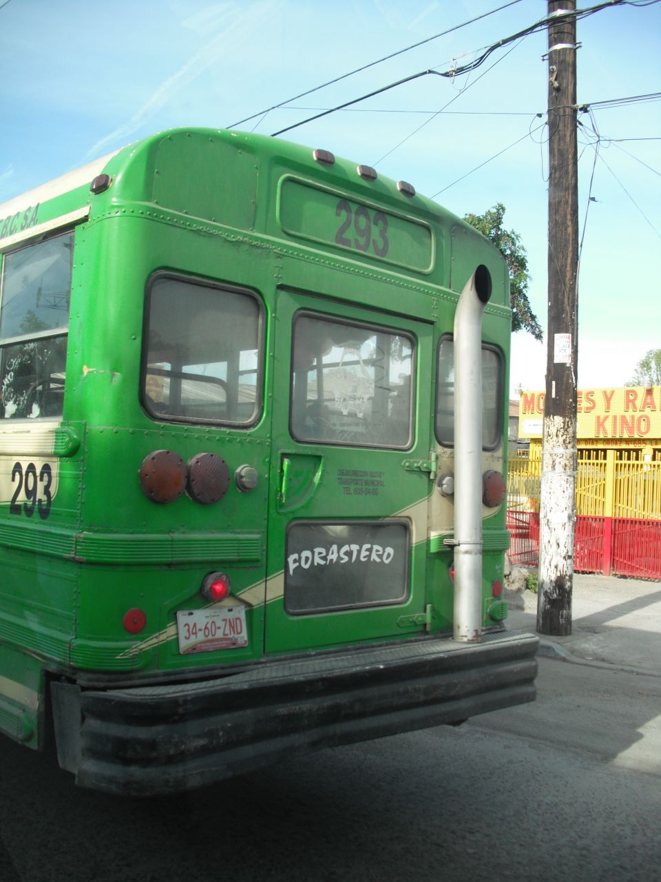 Green bus rear view with exhaust pipe, license plate 34-60-ZND, and text FORASTERO
