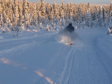 2000 Ford E350 - Snowmobile rider navigates a snowy trail through a dense forest during winter.