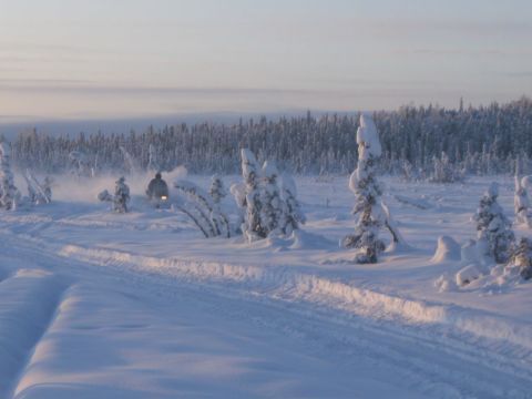 2000 Ford E350 - A snowmobile travels across a snowy landscape with snow-covered trees and a forest in the background.