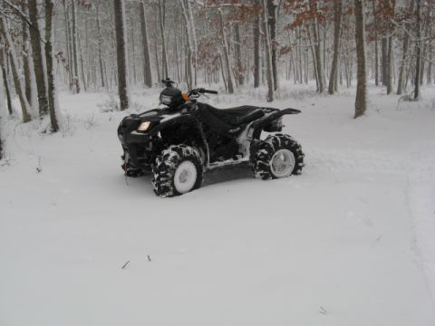 2006 Suzuki VINSON 500 photo