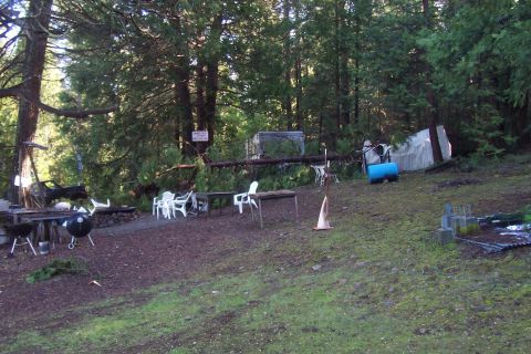 1994 Ford F-150 - An outdoor area with picnic tables, grills, and chairs suggests a campsite, but debris and a fallen tree indicate disarray.