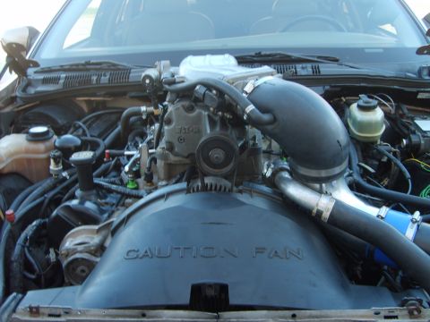 1993 Ford Crown Victoria - Engine bay of a gold sedan fitted with an Eaton roots supercharger mounted atop the V8, with a large black inlet elbow feeding a polished a…