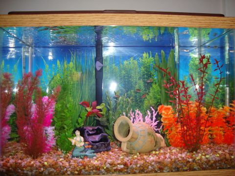 1978 Ford Bronco - A freshwater home aquarium with an oak trim frame, colorful plastic plants in red, orange, pink and green, a gravel bed of mixed pastel sto…