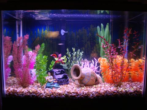 1978 Ford Bronco - A lit home aquarium with pink, green and orange artificial plants, a pebble gravel bed, a tipped-over amphora ornament and a mermaid figuri…