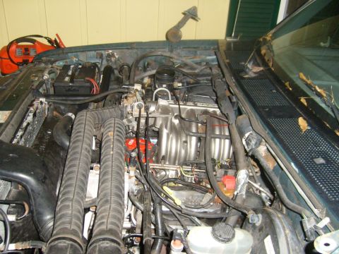 1994 Ford Bronco - The engine bay of a vehicle is shown with various components and wiring.