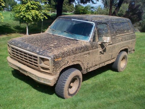 1981 Ford Bronco - Before Washing it...