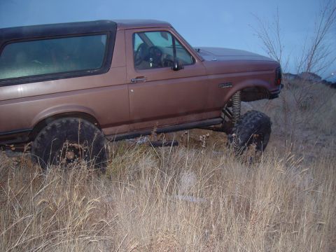 1993 Ford Bronco - Modified 1993 Ford Bronco with off-road tires and suspension sits in tall, dry grass.
