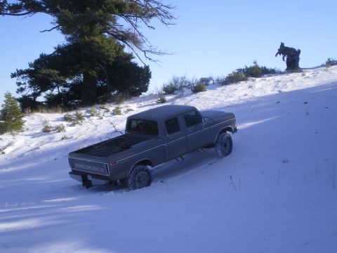 1979 Ford F-350 photo