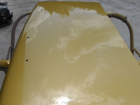 1971 Chevrolet Camaro - The reflective surface of a car hood shows the sky and surrounding trees.