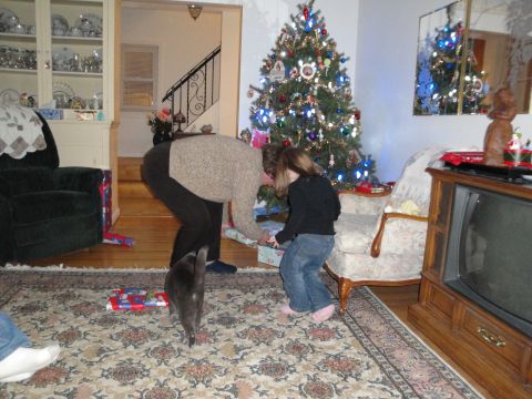 2000 Ford Crown Victoria - A family enjoys Christmas morning, opening presents around a decorated tree.