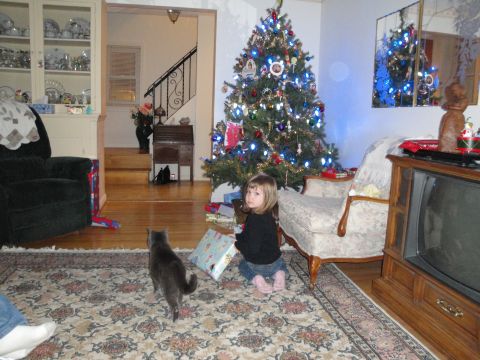 2000 Ford Crown Victoria - A child and a cat are in a living room decorated for Christmas.