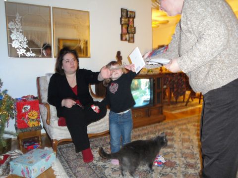 2000 Ford Crown Victoria - A family gathers in a living room during the holidays, with a cat observing the scene.