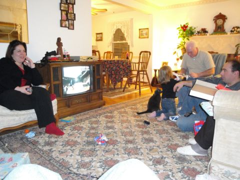 2000 Ford Crown Victoria - A family gathers in a living room to watch television, with a cat observing the scene.