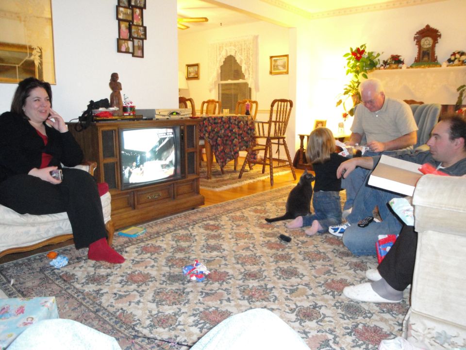 Living room scene with people watching TV and a cat