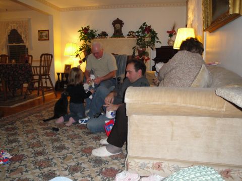 2000 Ford Crown Victoria - A family is spending time together in their living room, with a cat nearby.