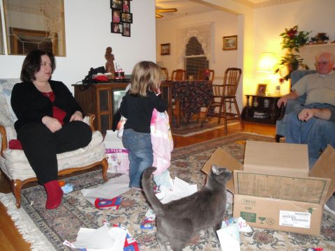 2000 Ford Crown Victoria - A family gathers in a living room, surrounded by opened gift boxes and a curious cat.