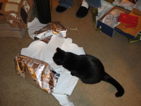 2000 Ford Crown Victoria - A black cat investigates unwrapped gifts on a carpeted floor.