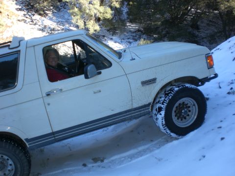 1990 Ford Bronco photo