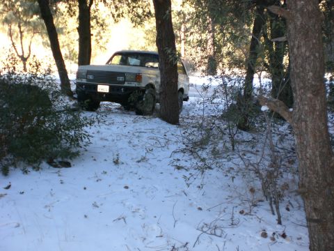 1990 Ford Bronco photo