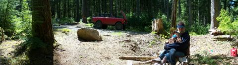 1971 International Scout II photo