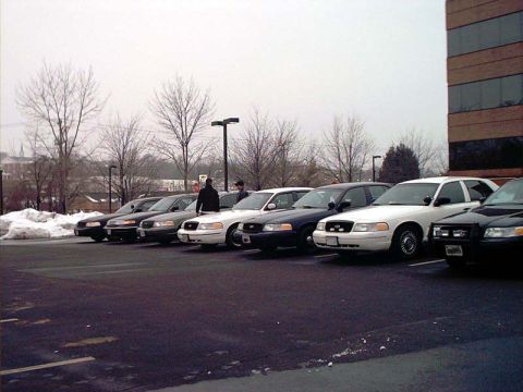 2000 Ford Crown Victoria - A fleet of Ford Crown Victorias, likely police or taxi vehicles, are parked in a lot on an overcast day.