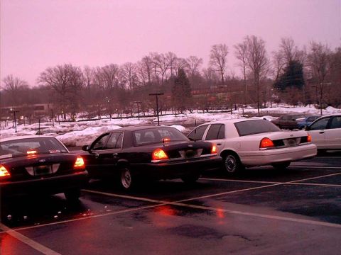 2000 Ford Crown Victoria - Multiple Ford Crown Victorias are parked in a wet lot under a pink sky, with trees and snow in the background.