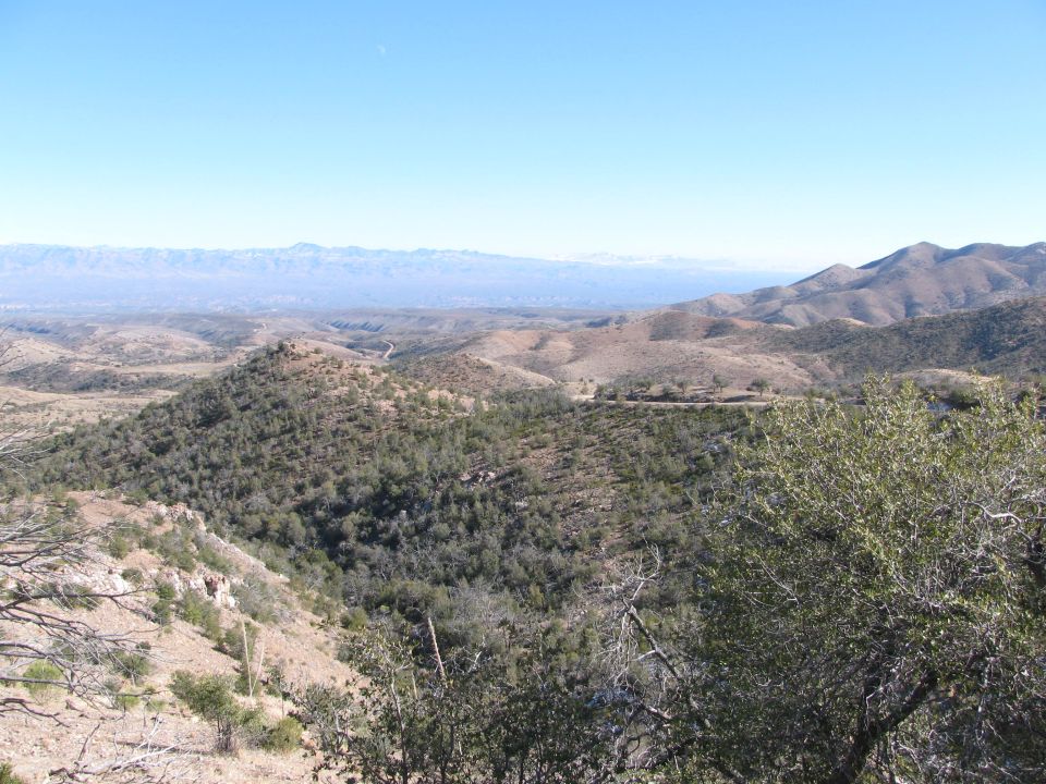 mountainous terrain with scattered trees and a clear blue sky
