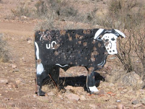 1996 Ford C-350 (Centurion Conversions) - A metal bull target, riddled with bullet holes, stands in a dry, outdoor environment.