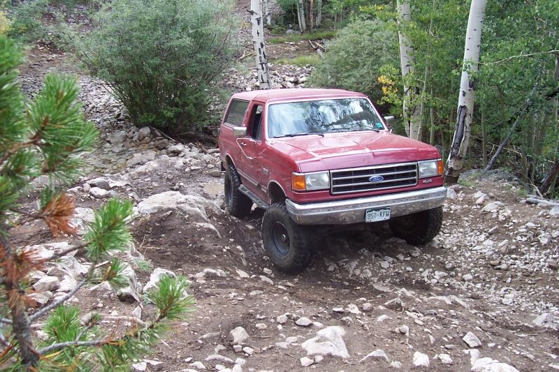 1991 Ford Bronco in 2010