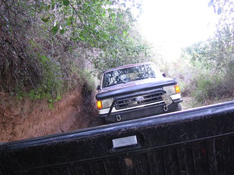 1989 Ford Bronco - A 1989 Ford Bronco navigates a narrow, wooded trail.