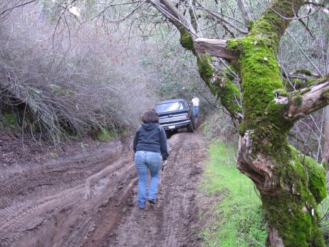 1989 Ford Bronco - A black 1989 Ford Bronco navigates a muddy, off-road trail with two people nearby.