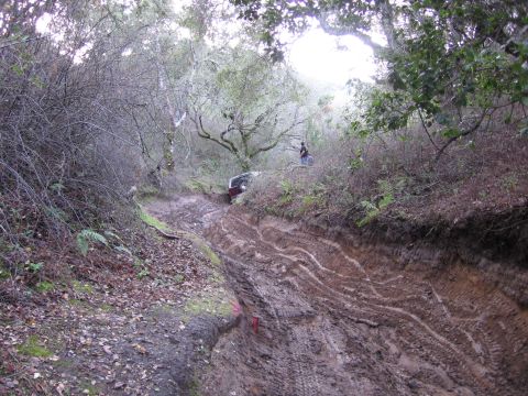 1989 Ford Bronco - A red SUV navigates a challenging muddy trail surrounded by dense vegetation.