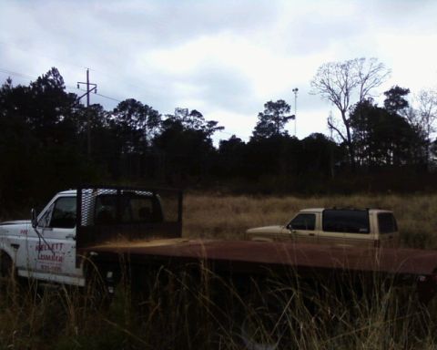 1984 Ford Bronco II - Two trucks sit in a field under an overcast sky, surrounded by tall grass and trees.
