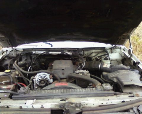 1984 Ford Bronco II - The engine bay of a white truck is visible with the hood raised, revealing the engine components.