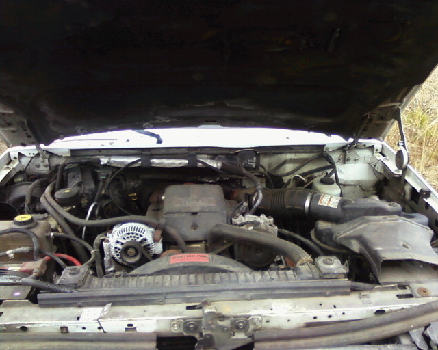 Engine bay of a white truck with the hood open, showing the engine, alternator, and various hoses