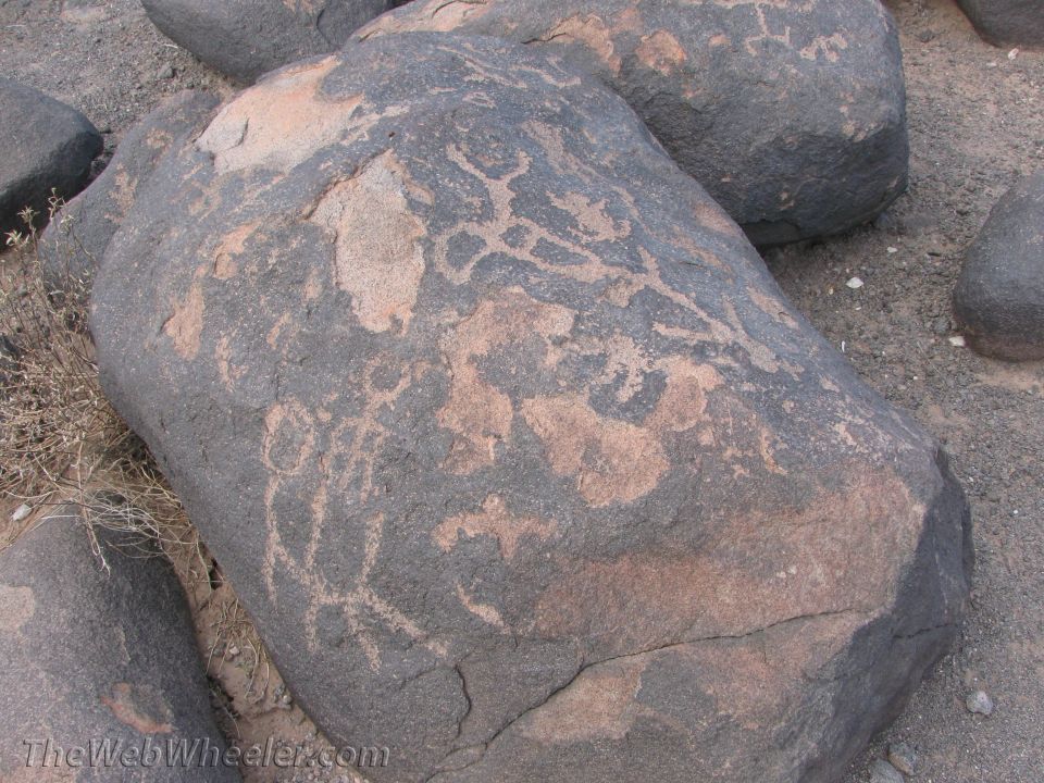 Petroglyphs etched into a dark, weathered rock surface with lighter patches. Dry brush is visible to the left