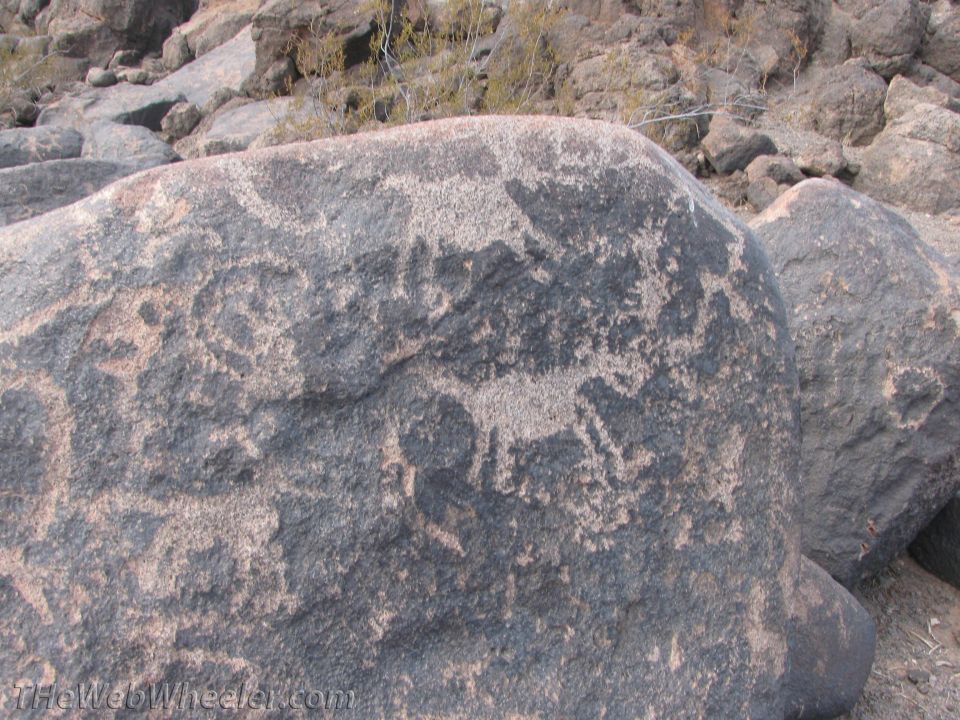Rock with petroglyphs of animals and circular designs