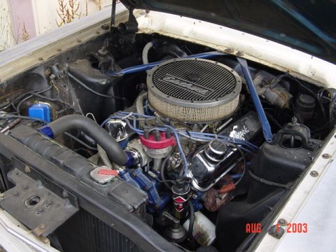 1987 Ford Bronco - I fired up the Fairlane while I was at Todds.