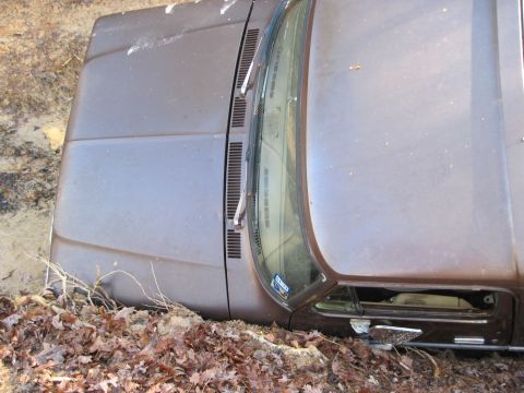 1979 Ford Bronco - touching everywhere