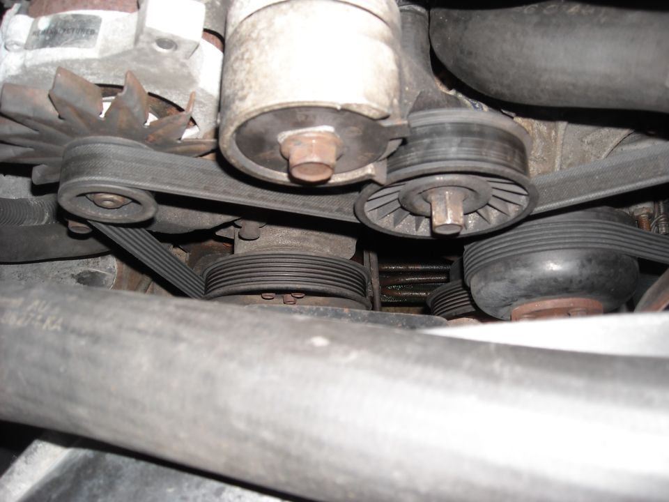 Serpentine belt, alternator and pulleys in a dirty engine bay, with black hoses in the foreground