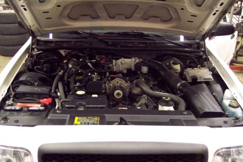 2001 Ford Crown Victoria - Engine bay of a 2001 Ford Crown Victoria, viewed from the front with the hood raised.