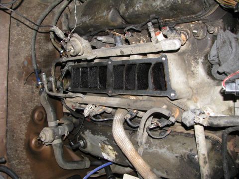 1986 Ford Bronco - fuel, electrical, and vacuum lines removed. all bolts loose. time to yank it.