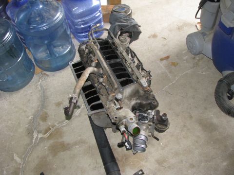 1986 Ford Bronco - nice and easy. now to clean grease and gasket material off.