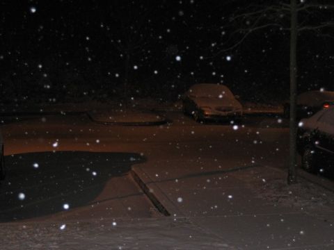 2004 Ford F-150 - Cars are parked outside at night during a snowfall.