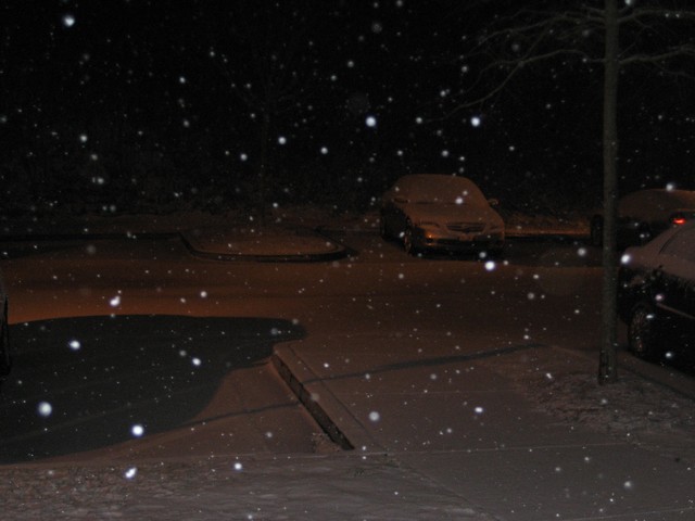 Cars covered in snow at night, with falling snow visible